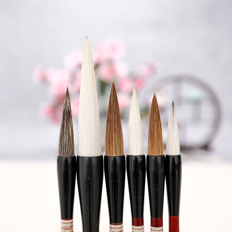 Calligraphy Brush Set