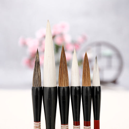 Calligraphy Brush Set