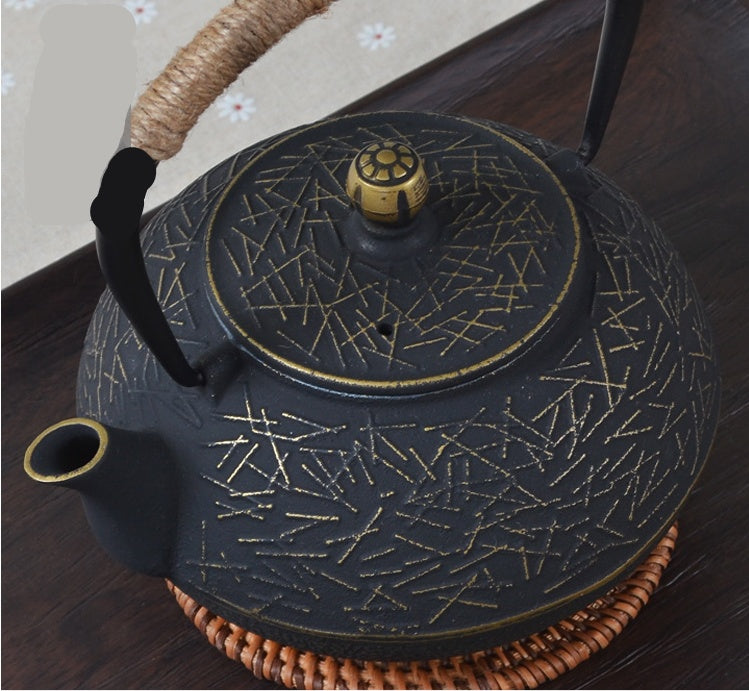 Cast Iron Teapot