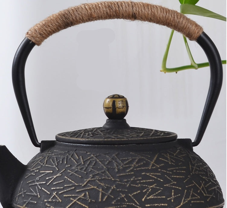 Cast Iron Teapot